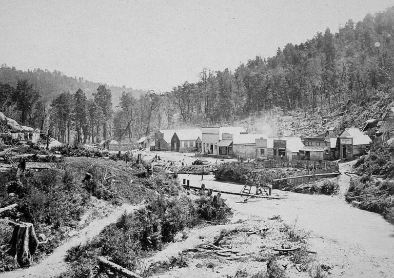 Capleston 1877- Reefton Goldfield- RUA GOLD