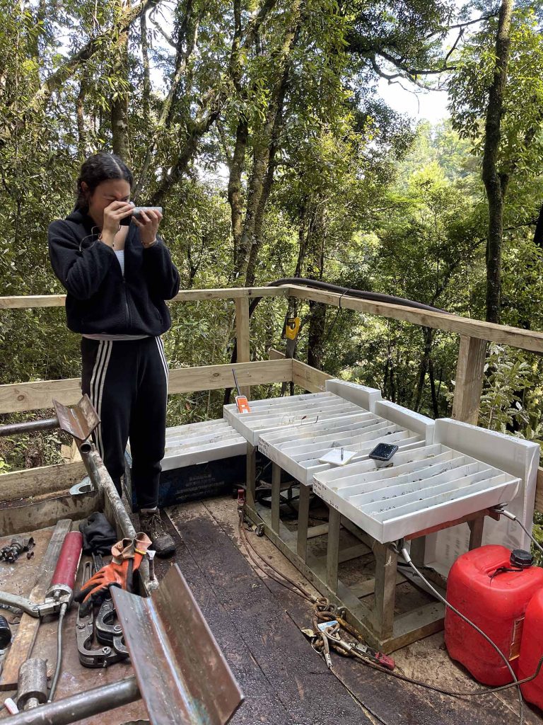 Sampling-RUA GOLD: Reefton Goldfield