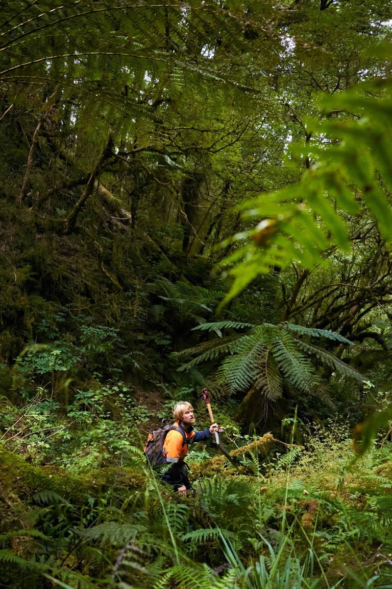 Reefton Gold Exploration- RUA GOLD