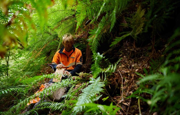 soil samples- RUA GOLD: Reefton Goldfield
