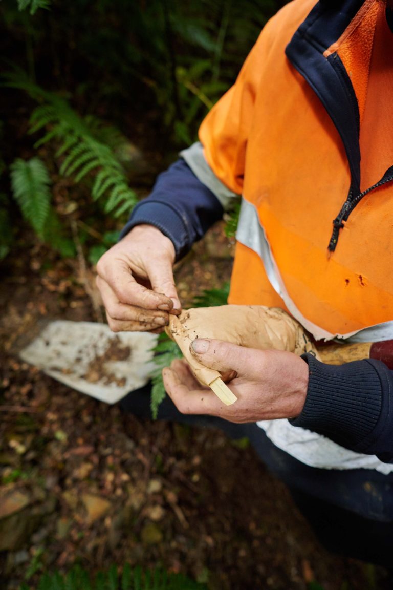 Soil sample-RUA GOLD: Reefton Goldfield