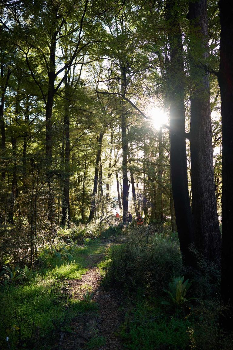 Caledonian Mine- RUA GOLD: Reefton Goldfield